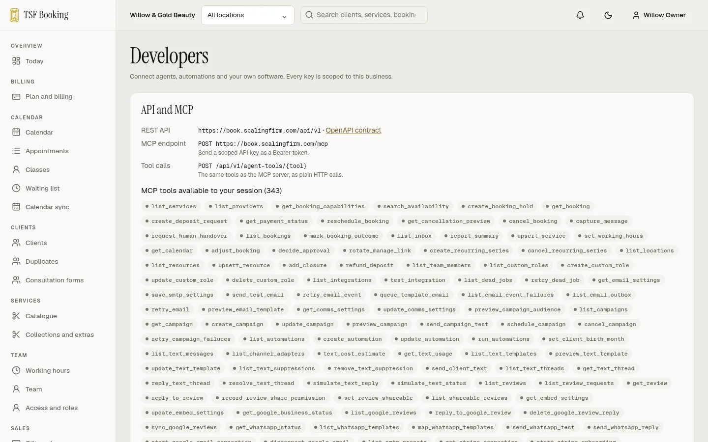 The Developers page: the REST API address, the MCP endpoint and the list of MCP tools available to AI agents.
